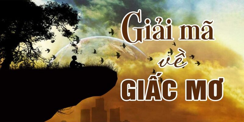 Giấc mộng thấy rắn và những con số chính xác nhất